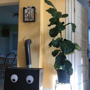 Meet your Posher, Alex